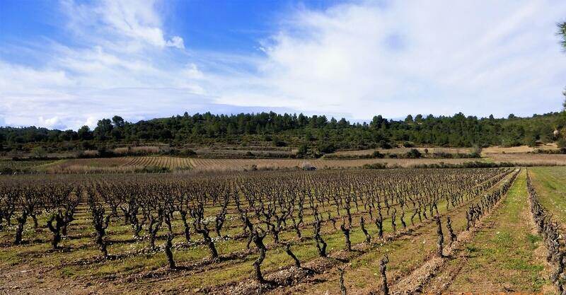 Ejemplo de Uso para monitorización de producción de vino en sector agrícola. 